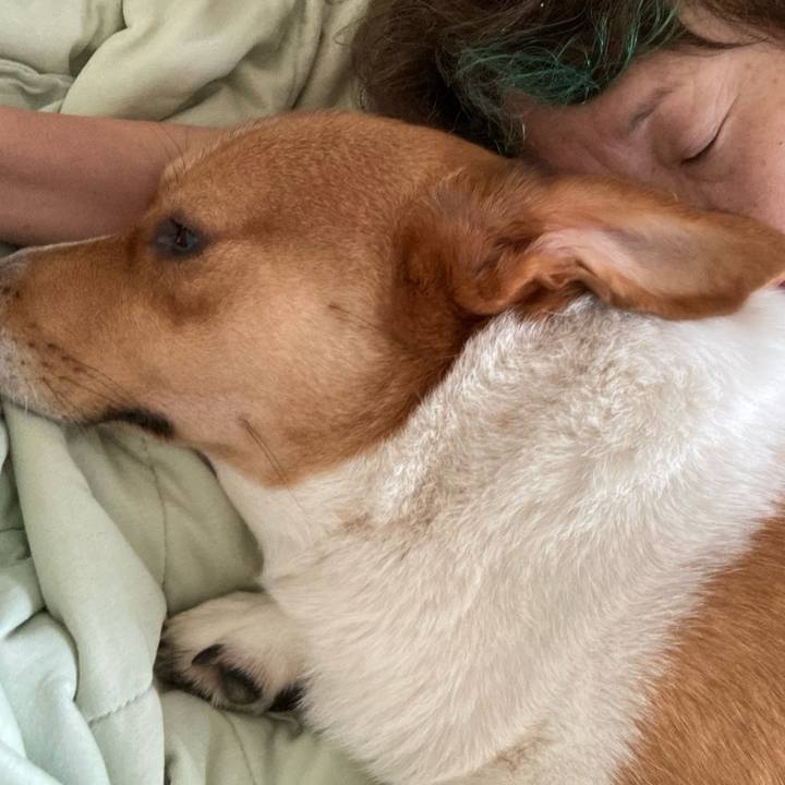 B9fe5d66 0a2e 4bb5 9bc6 98ddd9dfe20c 1663720117757