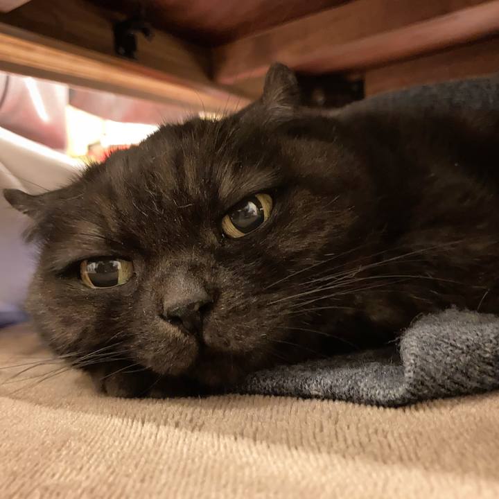 B9fe7867 79d7 4952 a942 55504bb2eaf1 1608217798117