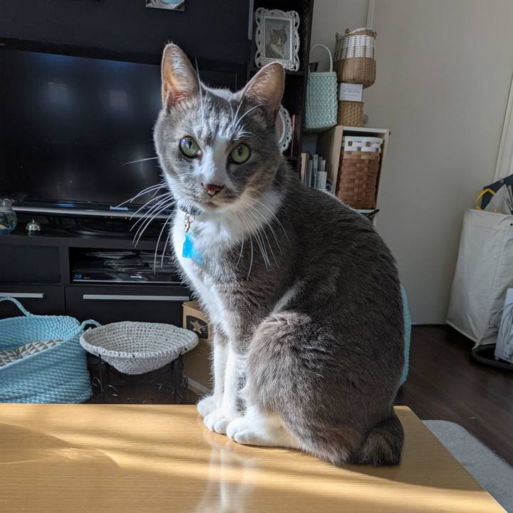 B9ff2b81 b139 4287 9a8b eaf921011237 1738039514223