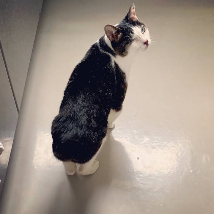 B9ff40c0 0a2e 4d83 884c 639800001818 1614662952045