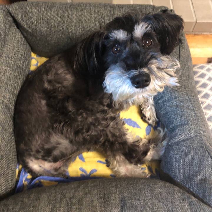 B9ff61b9 21c2 47b2 b022 b766b858367a 1672911468458