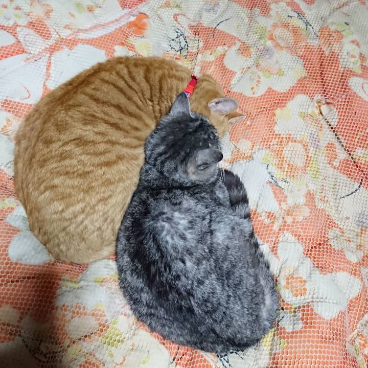 B9ff7180 41ab 4865 a408 2ceaa7c7b350 1576928518354