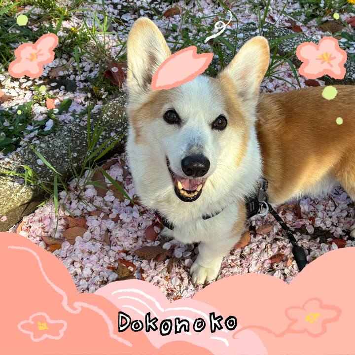 B9ff74c4 ea52 4b67 9e59 a181989079e1 1775438765450