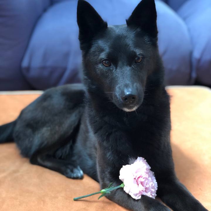 B9ff83de 114a 492b b6dc af4aea21d64f 1557634157374