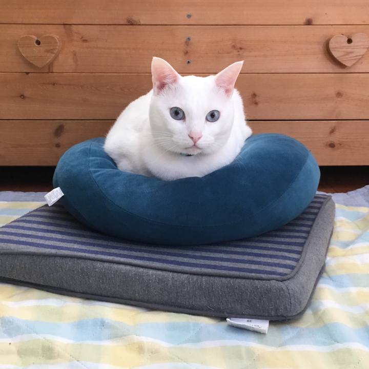 B9ffab15 34ca 4f2e bdca 24e38ab3c872 1524958685735