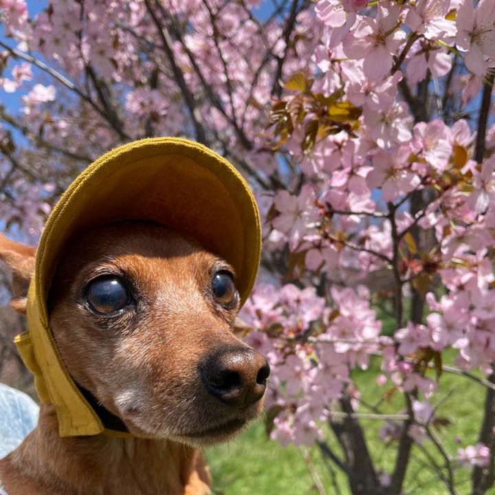 B9ffbc57 14d7 4383 bfd5 9bc83d5db47c 1714468864125