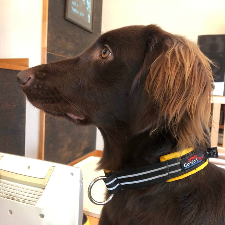 B9ffd5cc 23c4 4917 8aea bcba1c88ea71 1576020672191