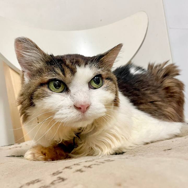 B9ffdcbd 3d8e 45e4 94ce 18ab17b2f497 1727365730782