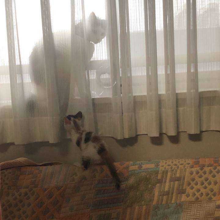 B9fff5a5 921f 450c 82bc b4c821693b32 1561108362691