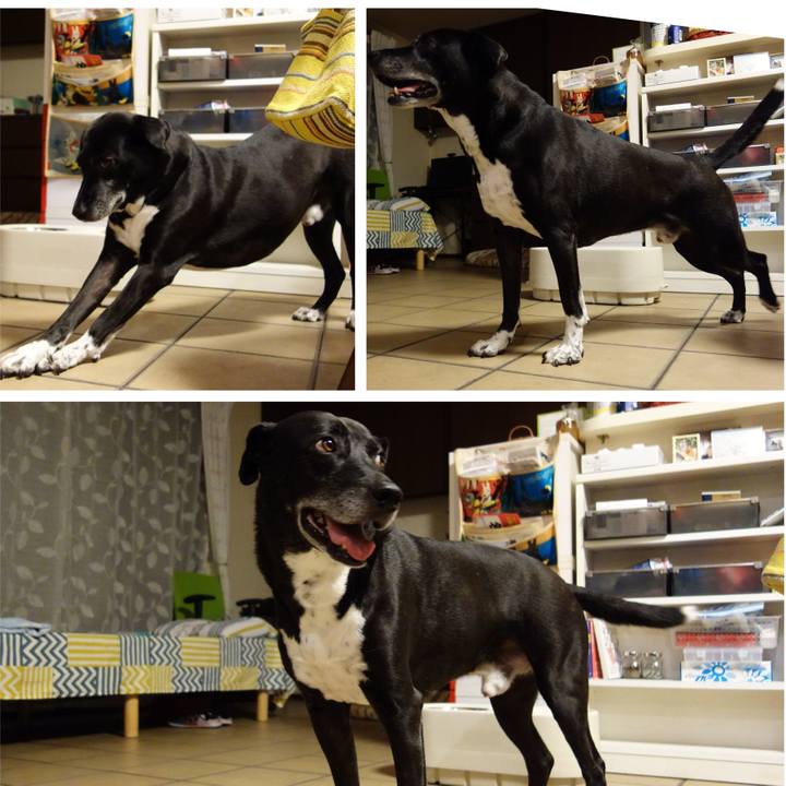 Ba0018a7 bc67 434a b44a fda680897b4c 1723545610660