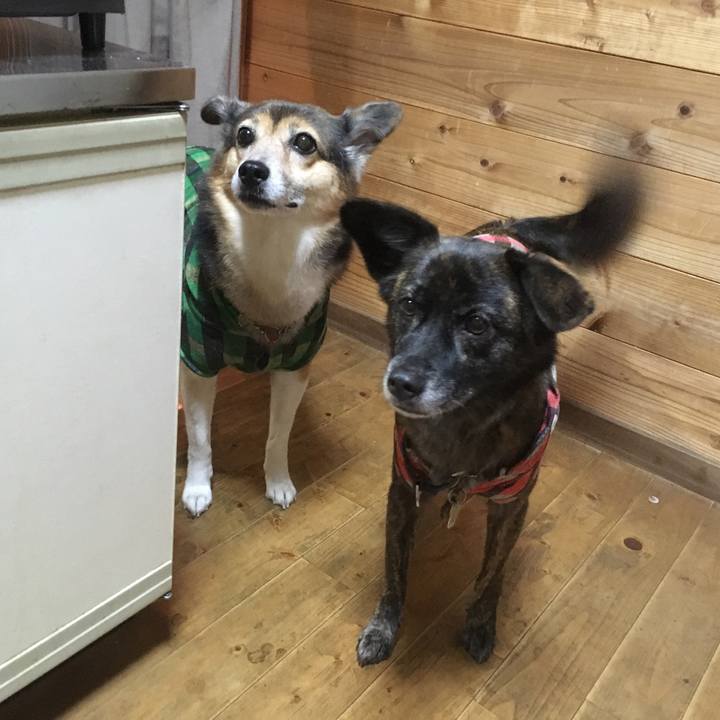 Ba002b0d d861 4e64 92ea 7b8aa7679f39 1511081299761