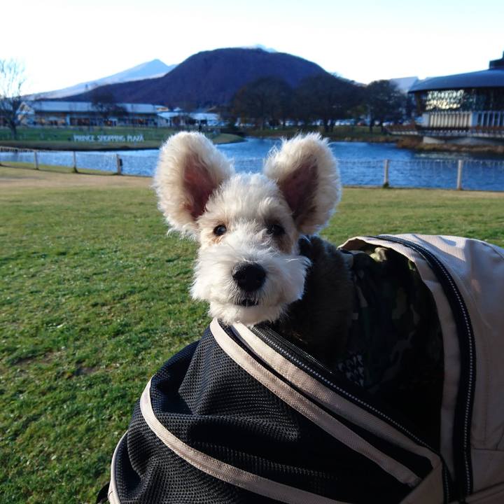 Ba007d7b da39 4c4b a48b 6c90f6118921 1510382691320