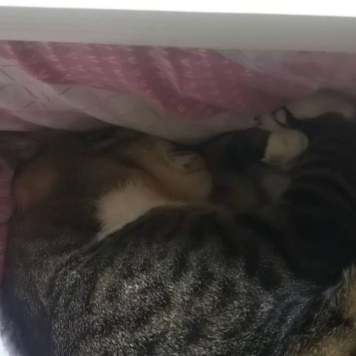 Ba009651 44c3 4df9 bf7b d03e7b1519aa 1613385841620