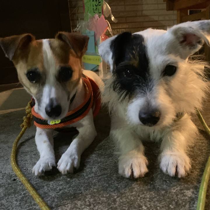 Ba009e09 d67e 4b6b 8420 5bb89a62a9b2 1562074932306