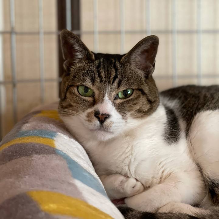 Ba00ae59 4f13 41d0 a341 a940986588da 1621386810737