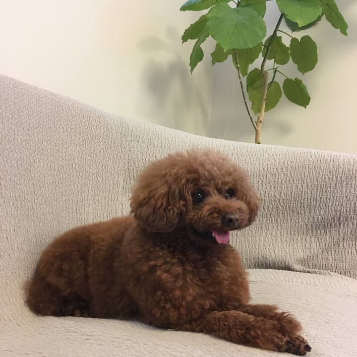 Ba00d429 1ca6 45bf b7f9 35e584c76446 1536711221545