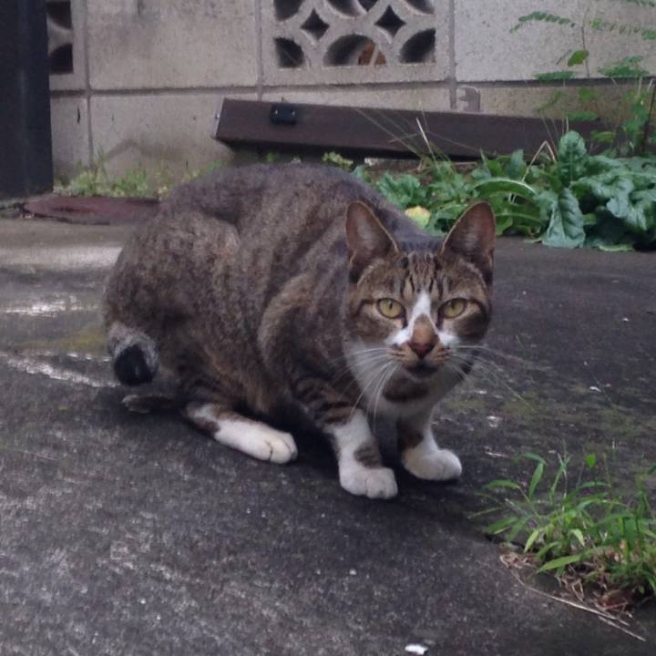 Ba010b48 d6b1 4745 a899 4994fe54d510 1508511686586