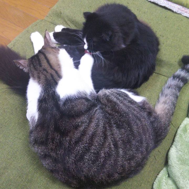 Ba010d5b d07c 4f00 bf8c 2e804302c0ae 1650605302296