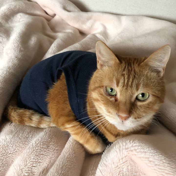 Ba012b4c dd2f 423f a1a0 a5fade228063 1651625704074