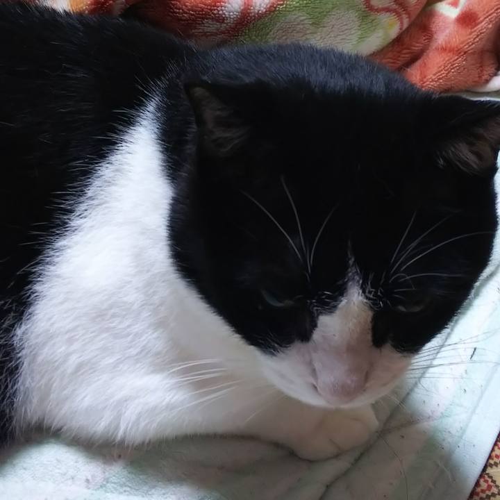 Ba0164ed b01b 49d9 8d72 31ec0d2e017e 1559857540424