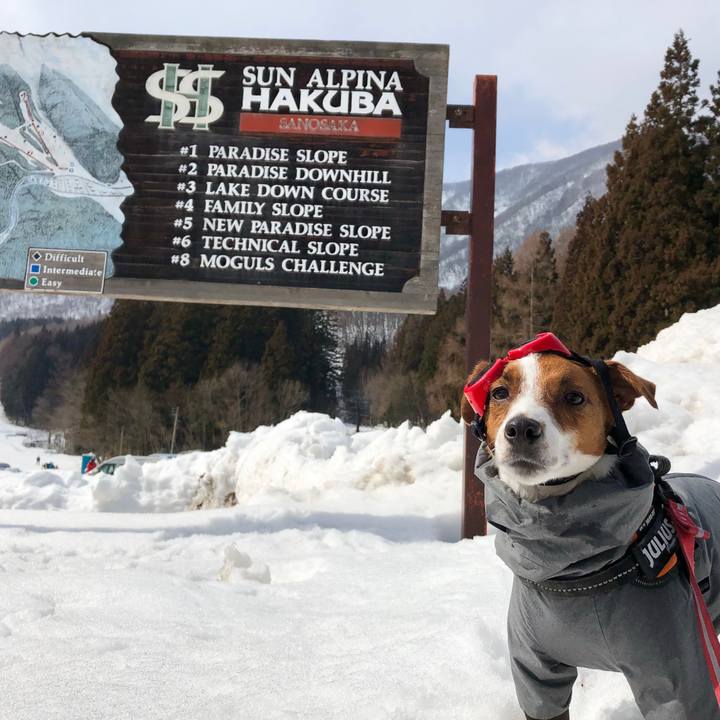 Ba016d7b 521f 411e ab50 063785e1f7d2 1550920857208