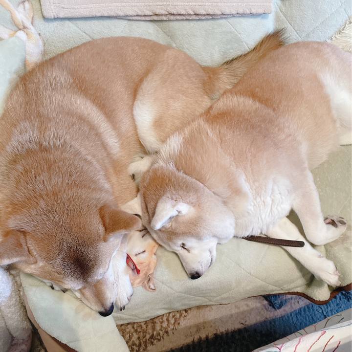 Ba016e75 7e6f 480d be8b 91df2ced4af7 1735700977938