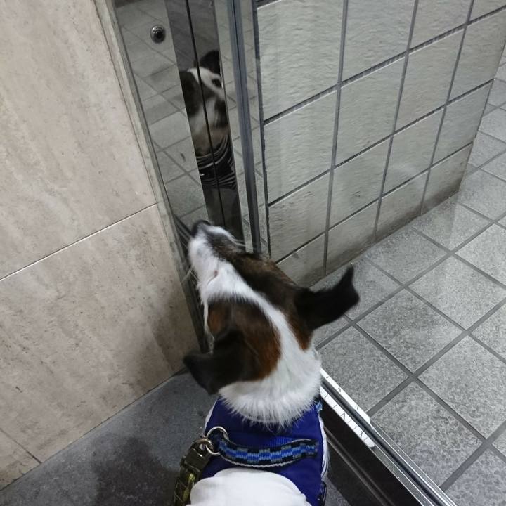 Ba0180cf 4c1e 4ca3 864e 60db8955a099 1517572226723