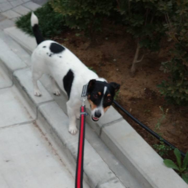 Ba01898b 69b3 409d b15b 8c4108b68bfd 1600303262972