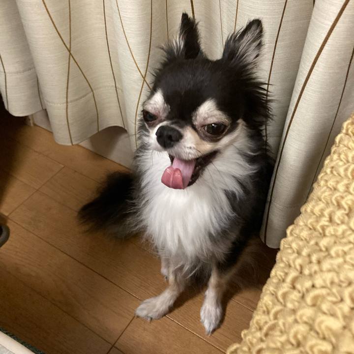 Ba01c8ed 8ed0 4d76 bdee 9c14e444de47 1660401212112