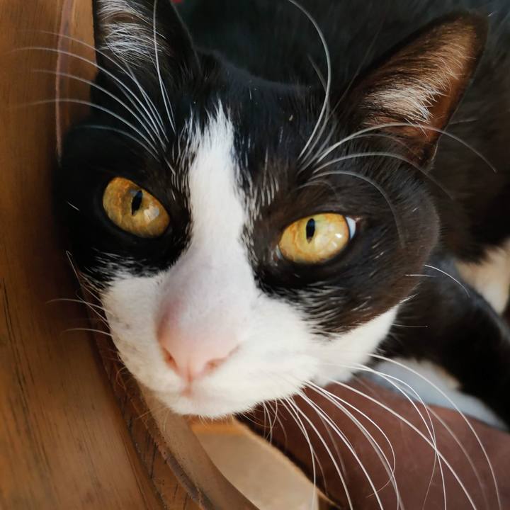 Ba022f8d 6bef 431d a4c7 d4db119b6804 1700537807765