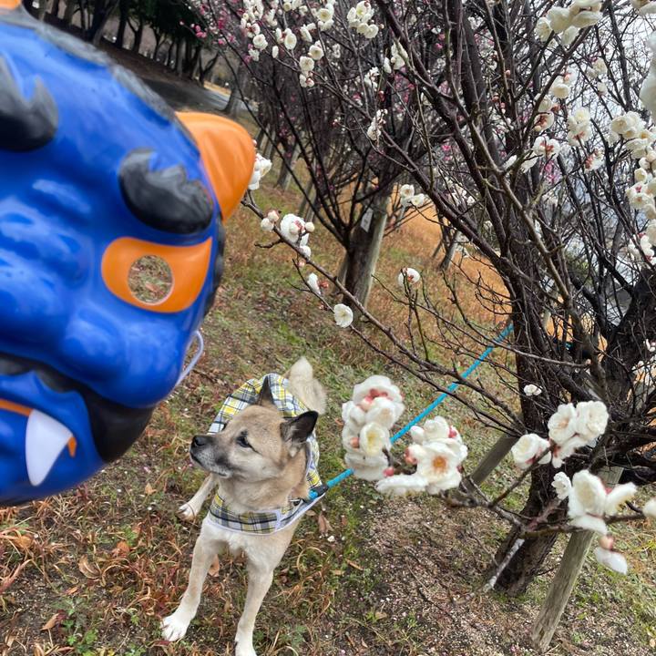 Ba02512f 8ec8 42a6 8457 ad209bf31296 1706955477115