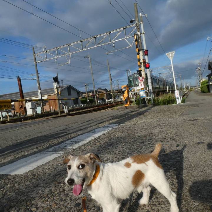 Ba0295e6 f044 45ea a11e f47b1513877a 1593351203177