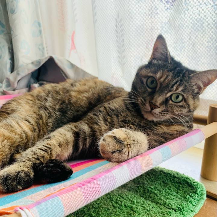 Ba02a0f8 b421 46dd 8725 e92544e0c278 1755924553577