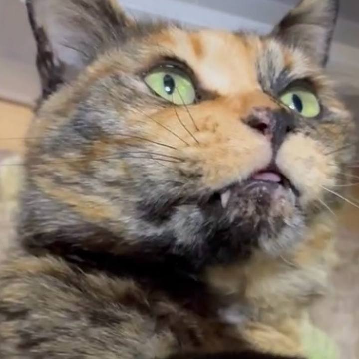 Ba02f96d 6c73 4858 8b37 bad132019c94 1746045607242