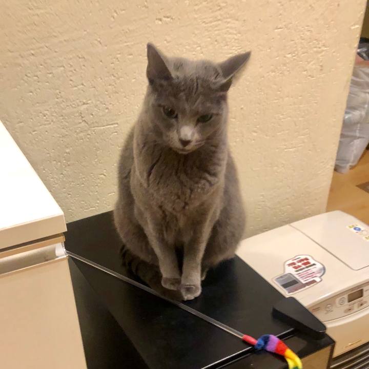 Ba031bce 4792 4ee0 942f 4755acc4bcff 1575533679781