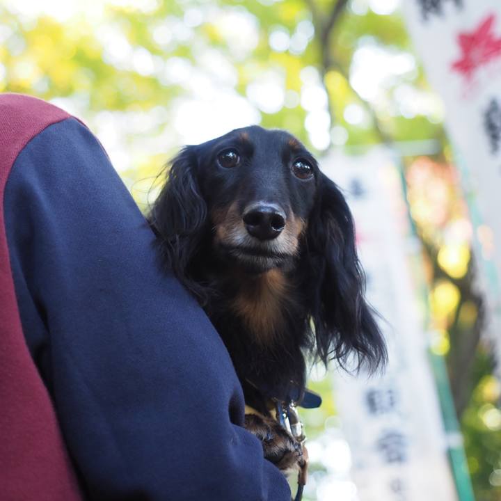 Ba0321fe 725a 4704 b0af 4db8fed517a2 1606713103014