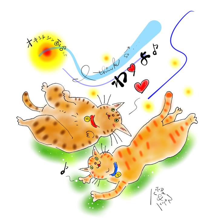 Ba033864 a7d1 4678 a3be 730469cc7acf 1651240926483