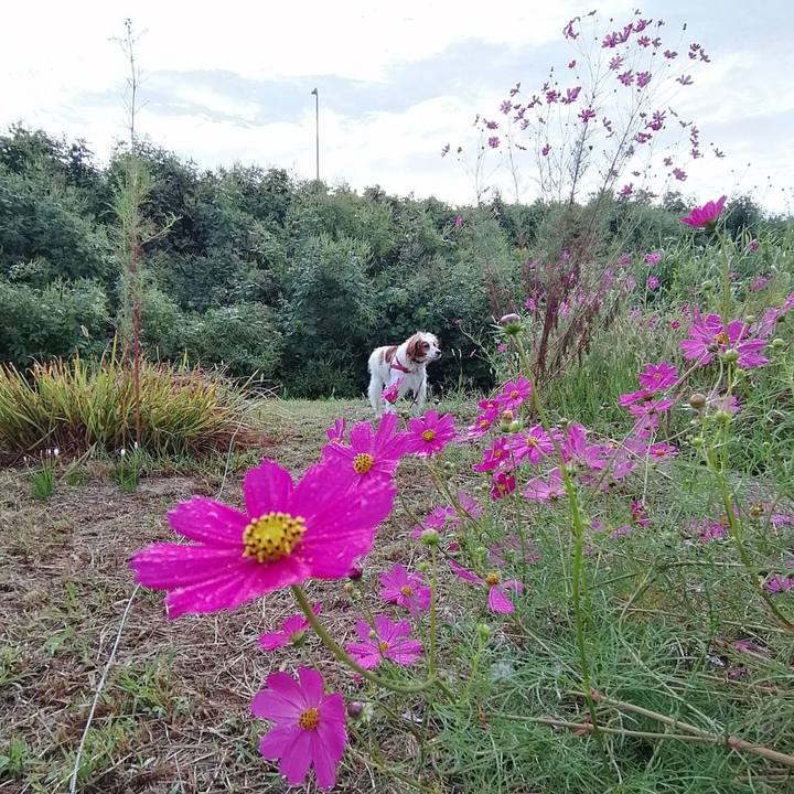 Ba03988a 8d91 42f1 8c03 2a5d35bb4f84 1601943099534