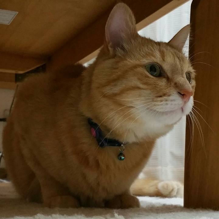 Ba03adfc bd16 44e5 b0fb b7dcae2f4a2d 1527116121923