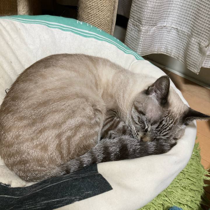 Ba03fc38 334f 480b b396 12b70f6bc51a 1766445791454