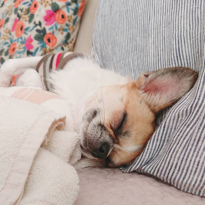 Ba044248 b3b8 4ce4 8e07 95f25e8d7022 1572741232966