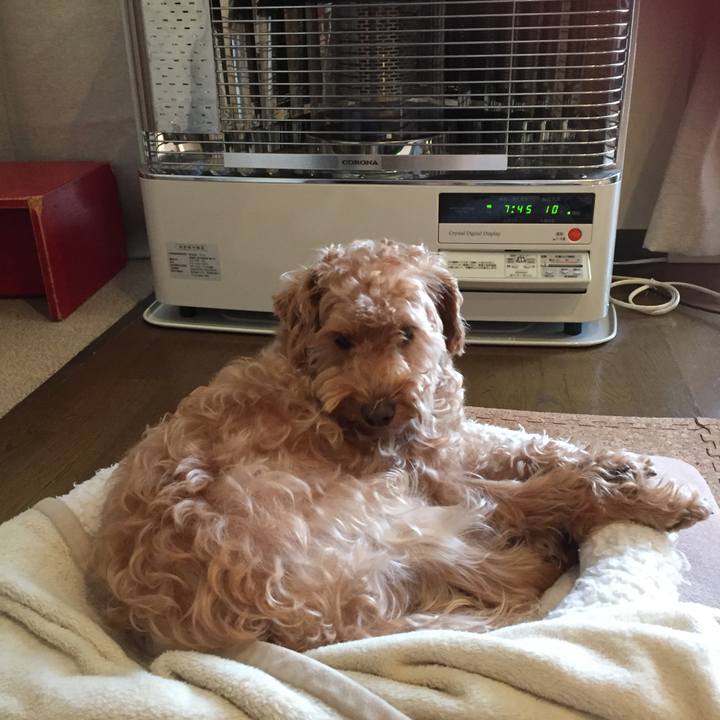 Ba0444fd 66ed 4bc2 98e5 b5b7c573af03 1511131467473