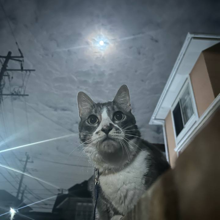 Ba0461ea d1e2 49f2 bbea 44fe92702748 1759755737651