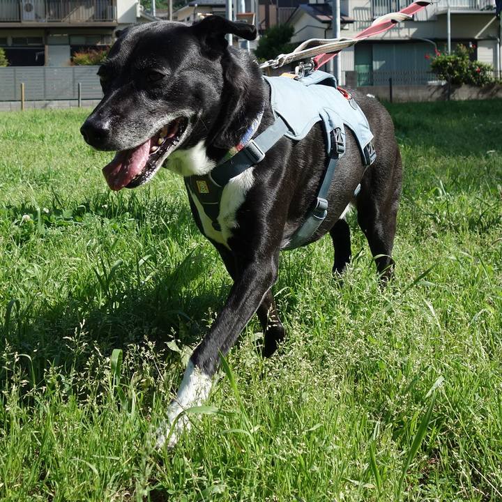 Ba04665f 18b1 48e1 9854 6041e8b0bc63 1714783945183