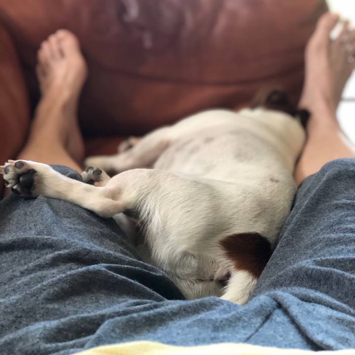 Ba047657 78af 4d79 8c51 f53f6b6e4930 1598771447449