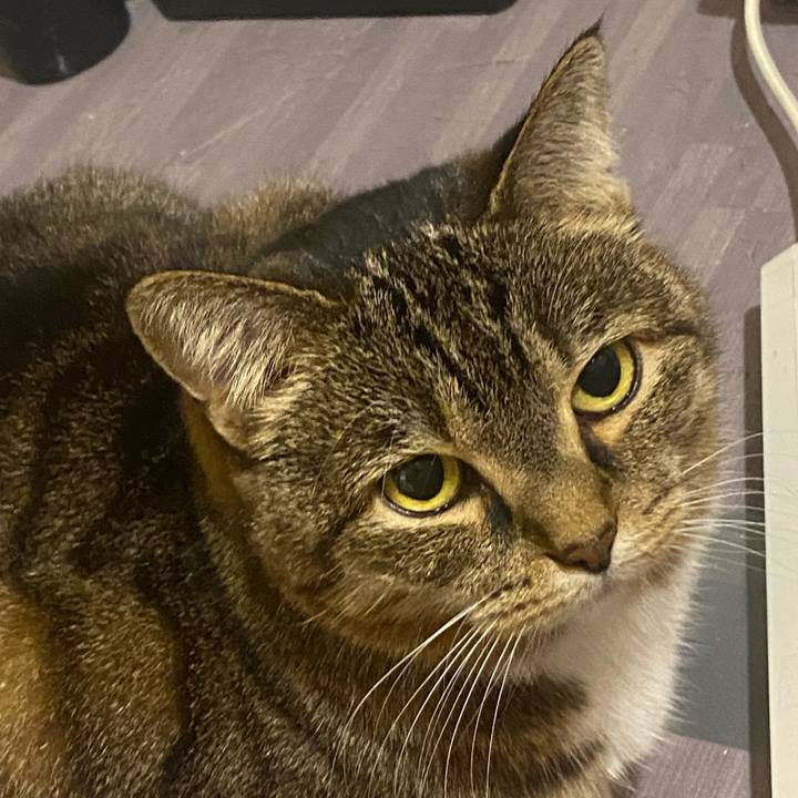 Ba04a543 5bf6 4eb4 8ab3 36cc60953034 1669215239736