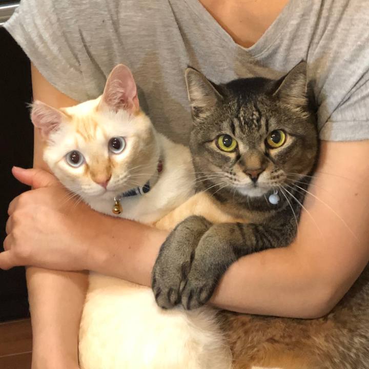 Ba04b811 119a 49d8 a24d 669575e60316 1624173146312