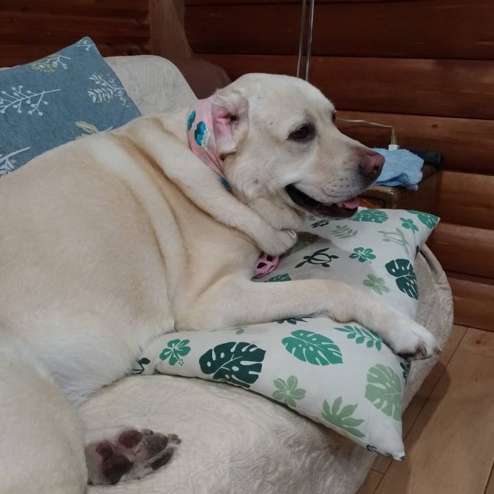 Ba04cd19 a7f5 4efe b908 028d17d85950 1627125589426