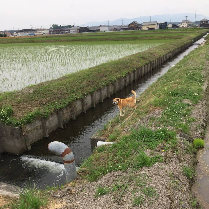 Ba04ddf8 b52c 4dad 946f 5badb6083ef5 1559459001205