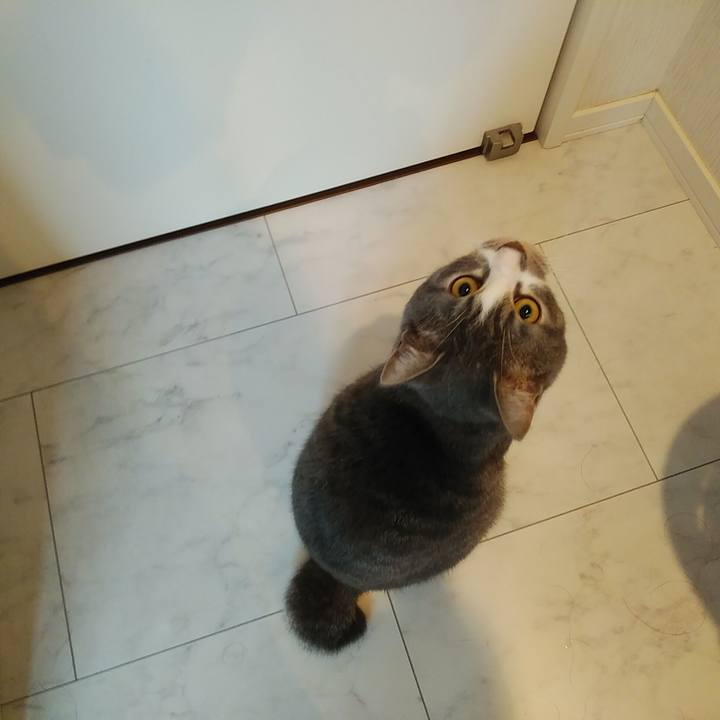 Ba04e5cb 23f3 440f 910e 3b30cce192ff 1577316296691